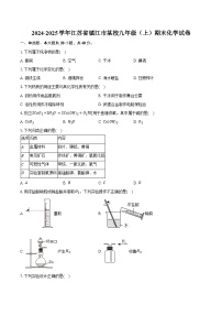 2024-2025学年江苏省镇江市某校九年级（上）期末化学试卷（含答案）