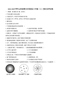 2024-2025学年山东省泰安市岱岳区八年级（上）期末化学试卷（含答案）