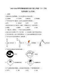 2025-2026学年河南省洛阳市洛宁县九年级（上）月考化学试卷（12月份）（含答案）