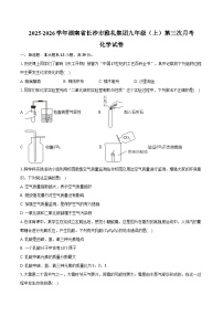 2025-2026学年湖南省长沙市雅礼集团九年级（上）第三次月考化学试卷（含答案）