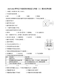 2025-2026学年辽宁省沈阳市皇姑区九年级（上）期末化学试卷（含答案）