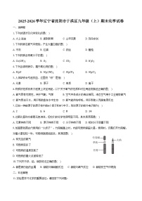2025-2026学年辽宁省沈阳市于洪区九年级（上）期末化学试卷（含答案）