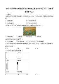 2025-2026学年云南省昆明市云南师范大学附中九年级（上）月考化学试卷（三）（含答案）