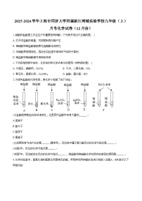 2025-2026学年上海市同济大学附属新江湾城实验学校九年级（上）月考化学试卷（12月份）（含答案）
