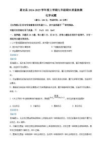福建省泉州市惠安县2024-2025 学年九年级上学期期末化学试题（解析版）-A4