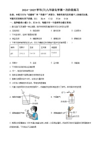 福建省龙岩市第二中学九年级下学期第一次月考化学试题-A4