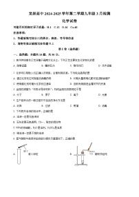 福建省龙岩市高级中学九年级下学期3月月考化学试题-A4