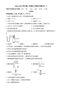 福建省龙岩初级中学九年级下学期第一次月考化学试题-A4