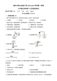 福建省福州市秀山初级中学九年级下学期3月月考化学试卷（原卷版）-A4