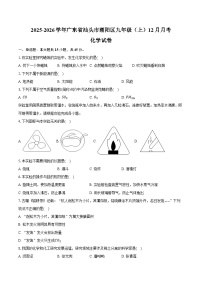2025-2026学年广东省汕头市潮阳区九年级（上）月考化学试卷（12月份）（含答案）