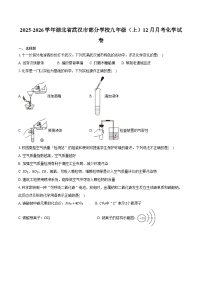 2025-2026学年湖北省武汉市部分学校九年级（上）月考化学试卷（12月份）（含答案）