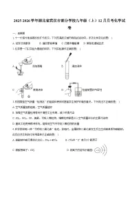 2025-2026学年湖北省武汉市部分学校九年级（上）月考化学试卷（12月份）（含答案）