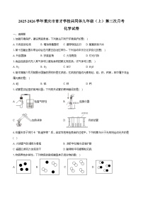2025-2026学年重庆市育才学校共同体九年级（上）第三次月考化学试卷（含答案）