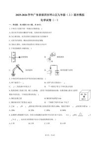 2025-2026学年广东省深圳市坪山区九年级（上）期末化学模拟试卷（一）（含答案）