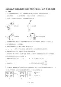 2025-2026学年湖北省武汉市部分学校九年级（上）月考化学试卷（12月份）（含答案）