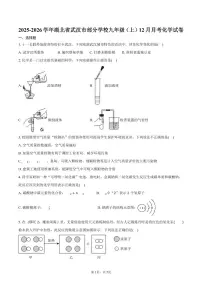 2025-2026学年湖北省武汉市部分学校九年级（上）月考化学试卷（12月份）（含答案）