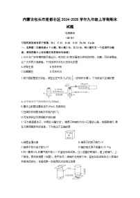 2024-2025学年内蒙古包头市昆都仑区九年级上学期期末化学试卷（学生版）