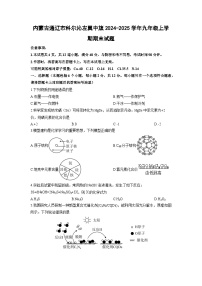 2024-2025学年内蒙古通辽市科尔沁左翼中旗九年级上学期期末化学试卷（学生版）