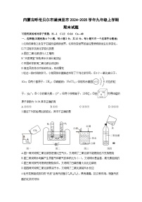 2024-2025学年内蒙古呼伦贝尔市满洲里市九年级上学期期末化学试卷（学生版）