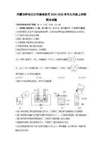 2024-2025学年内蒙古呼伦贝尔市满洲里市九年级上学期期末化学试卷（学生版）