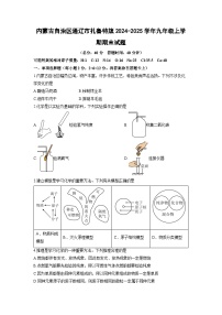 2024-2025学年内蒙古自治区通辽市扎鲁特旗九年级上学期期末化学试卷（学生版）