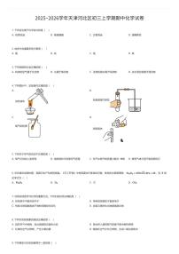 2025~2026学年天津河北区初三上学期期中化学试卷（有答案解析）