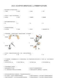 2025~2026学年天津南开区初三上学期期中化学试卷（有答案解析）