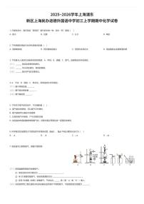 2025~2026学年上海浦东新区上海民办进德外国语中学初三上学期期中化学试卷（有答案解析）