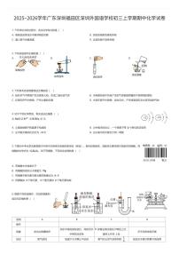 2025~2026学年广东深圳福田区深圳外国语学校初三上学期期中化学试卷（有答案解析）