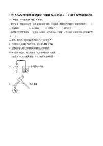 2025-2026学年湖南省衡阳市衡南县九年级（上）期末化学模拟试卷-自定义类型