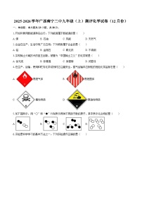 2025-2026学年广西南宁二中九年级（上）测评化学试卷（12月份）-自定义类型