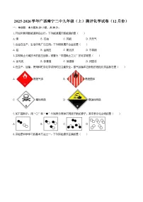 2025-2026学年广西南宁二中九年级（上）测评化学试卷（12月份）-自定义类型
