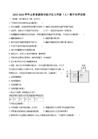 2025-2026学年山东省威海市经开区九年级（上）期中化学试卷-自定义类型