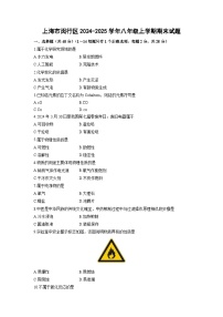 上海市闵行区2024-2025学年八年级上学期期末化学试卷（学生版）