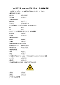 上海市闵行区2024-2025学年八年级上学期期末化学试卷（学生版）