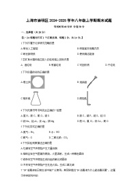 上海市崇明区2024-2025学年八年级上学期期末化学试卷（学生版）