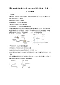 2025-2026学年黑龙江省绥化市绥化三校八年级上学期11月月考化学试卷（学生版）
