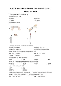 2025-2026学年黑龙江省大庆市肇源县五校联考八年级上学期10月月考化学试卷（学生版）