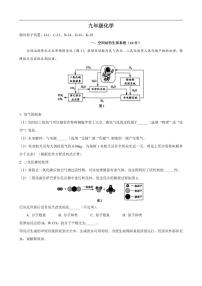 上海市民办新华初级中学2025-2026学年九年级上学期12月月考化学试卷(含答案)
