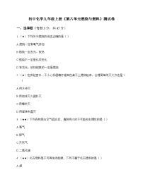 初中化学九年级上册第六单元 燃烧与燃料 测试卷及分析