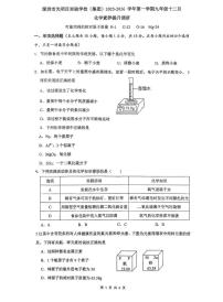 广东深圳市光明区实验学校(集团)2025-2026学年九年级上学期12月素养提升调研化学试卷