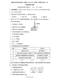 广东深圳市光明区实验学校(集团)2025-2026学年九年级上学期12月素养提升调研化学试卷