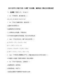 初中化学九年级下册专题7 初识酸碱和盐 测试及深度剖析