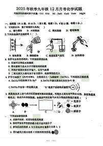 2026届黄冈部分学校九年级十二月联考化学试题（附参考答案）