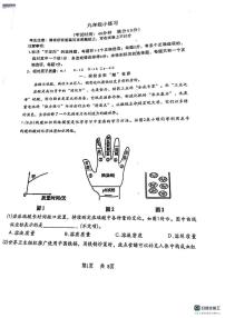 上海市南汇第三中学2025-2026学年九年级上学期12月月考化学试卷