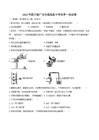 2025年四川省广安市岳池县中考化学一诊试卷-自定义类型