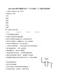 2024-2025学年甘肃省兰州十一中九年级（上）期末化学试卷-自定义类型