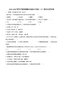 2024-2025学年甘肃省陇南市成县九年级（上）期末化学试卷-自定义类型