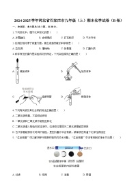 2024-2025学年河北省石家庄市九年级（上）期末化学试卷（B卷）-自定义类型