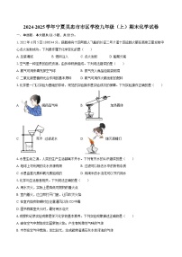 2024-2025学年宁夏吴忠市市区学校九年级（上）期末化学试卷-自定义类型